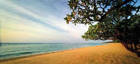 Beach Front